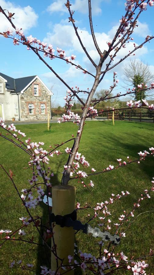 Nellies Cottage B&B Kilcogy Exterior photo